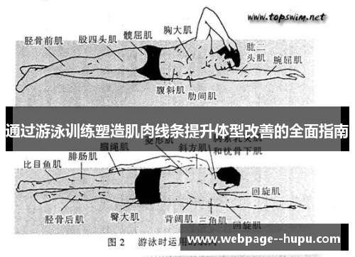 通过游泳训练塑造肌肉线条提升体型改善的全面指南 通过游泳训练塑造肌肉线条提升体型改善的全面指南